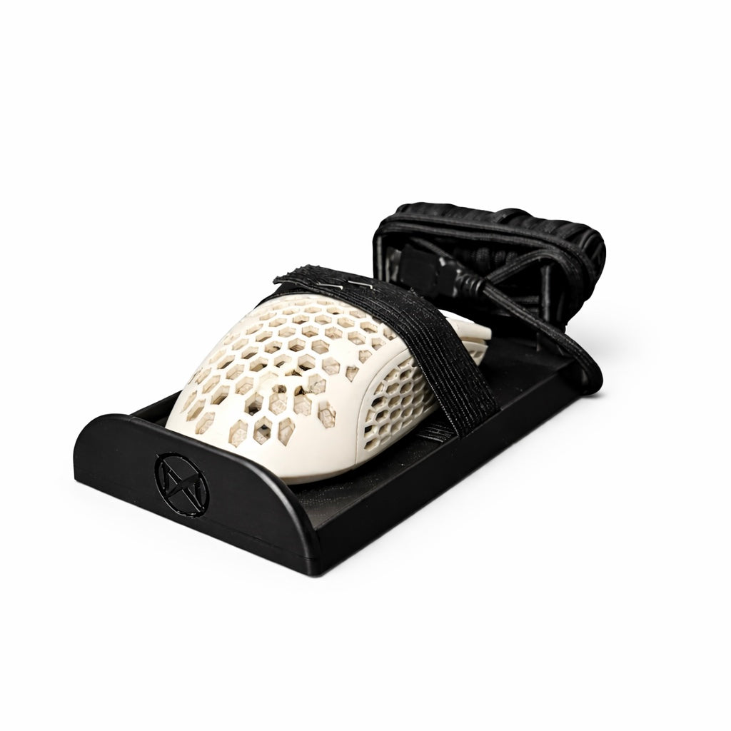 Laptop Mouse Carrier